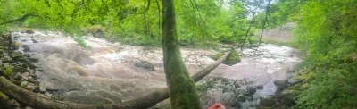 Gros arbres qui barrent la rivière avant la poupée qui tousse